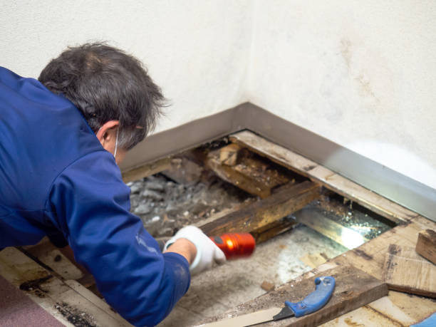 Best Industrial Mold Remediation in Gloversville, NY