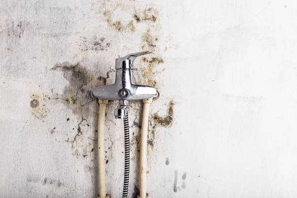Best Post-Flood Mold Remediation in Gloversville, NY
